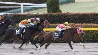 【金蹄S】米3冠に参戦したマスターフェンサーがオープン入り