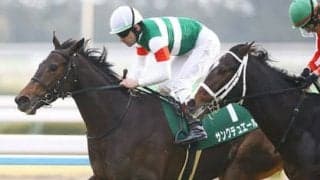 サンクテュエール、牝馬三冠なるか注目。「理想的な成長」を遂げている