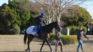 【フェブラリーS】アルクトス 得意の東京でタイトル狙う