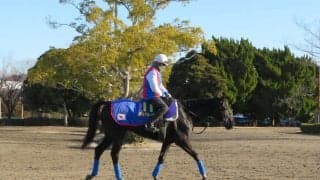 【フェブラリーS】デルマルーヴル 戸田師「相手なりに走れる」