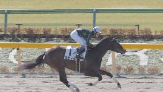 【新馬/東京2R】武豊騎乗 ミティルが6馬身差楽勝