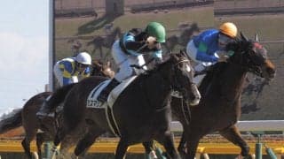 【東京7R】ルメールが止まらない！本日5勝目