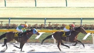 【ヒヤシンスS】出遅れも関係なし！カフェファラオが圧勝！