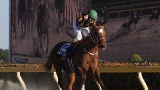 【フェブラリーS】二刀流モズアスコットが芝ダートでG1制覇！