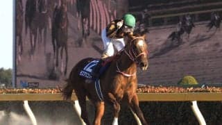 【フェブラリーS】二刀流モズアスコットが勝利！売り上げ入場人員共にダウン