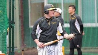 阪神マルテ＆ボーア＆サンズがクリーンアップ！　ヤクルトとのOP戦スタメン発表