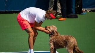 ズベレフらテニス選手のかわいいペットたち一挙紹介！