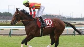 阪急杯は、コースと血統が「ベストに近い」遅咲き６歳馬に期待
