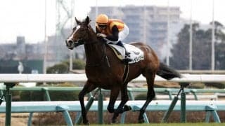 【新馬/中山6R】ヘイルメリーが断然の人気に応えてデビューV！