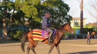 【阪急杯】ステルヴィオ 初めての1400m