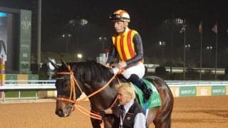 【サウジカップ】ゴールドドリームは6着 クリソベリルは7着敗退 超ハイレベル決戦を制したのはマキシマムセキュリティ