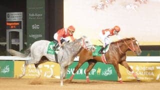 【サウジアスプリント】武豊マテラスカイが惜しい2着！ゴール寸前で差される