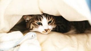 【Amazonタイムセール祭り】新生活のお供をタイムセールでゲットするチャンス