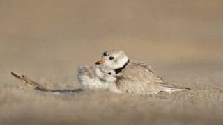 免疫力を高め身体を守りましょう