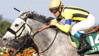 【阪急杯】浜中俊「理想的なポジショニング出来た」ベストアクターが重賞初制覇！