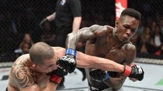 「アデサニヤが新たに覚醒する瞬間が見られるかも知れない」髙阪剛が『UFC248』の展望を語る