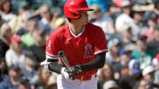 【MLB】大谷翔平は2の0、OP戦打率.100も指揮官は楽観視　「良い打撃見せると約束する」