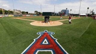 【MLB】エンゼルスに衝撃、職員解雇　「ボールへの使用禁止物質をビジター投手に提供」と地元紙