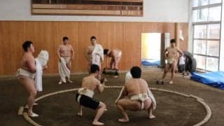 記者が相撲部の稽古に参加！早大相撲部強さの秘訣を探る