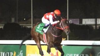 2020サウジカップ開催出走日本馬がドバイに到着