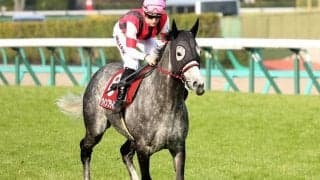 2020ドバイワールドカップデー JRA所属馬の選出および受諾