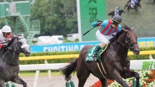 マルターズアポジー号が競走馬登録抹消