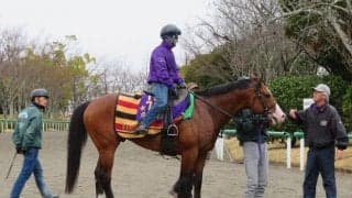 【オーシャンS】タワーオブロンドン ルメール「凄いパワー」