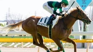 弥生賞で一発狙うなら、底が割れている馬より新馬勝ち馬に魅力あり