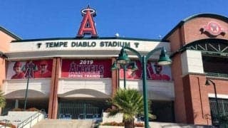 【MLB】エ軍マドン監督、ボールに粘着性出す禁止物質の使用に持論　「問題とは思わない」