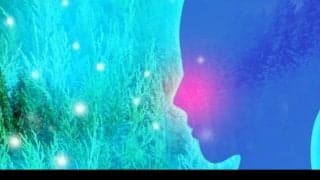 くしゃみ・鼻づまりだけじゃない？花粉症がお口もとに与える意外な影響とは