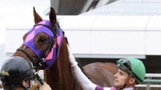 【中山8R】イケメン騎手 ヒューイットソンがJRA初勝利