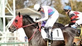 【中山6R】三浦皇成騎手が復帰後初勝利！ヴァンドゥメールで抜け出す