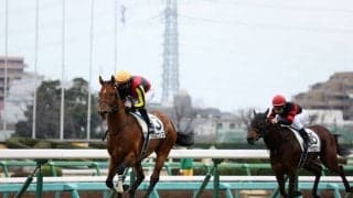 【中山5R】圧倒的人気のクロミナンスが初勝利