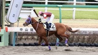 【新馬/中山4R】ウインレゼルヴがデビューV！