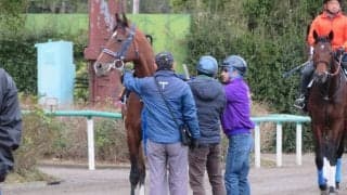 【弥生賞】ワーケア 手塚師「前走は消化不良」