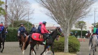 【弥生賞】ブラックホール 相沢師「いい動き」
