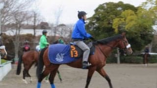 【弥生賞】サトノフラッグ メンバー唯一のディープ産駒で注目