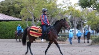 【弥生賞】オーソリティ ヒューイットソンと新コンビ