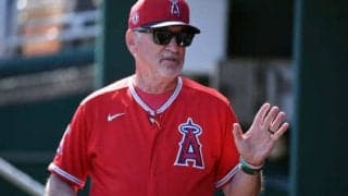 【MLB】アストロズへの故意死球は「大騒ぎに」　エ軍指揮官が選手たちを抑制へ「前進しよう」