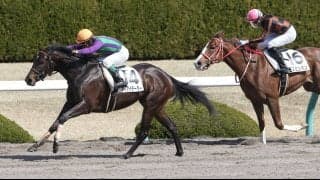 【新馬/阪神4R】カジノドライヴ産駒 アイアイテーラーがデビューV