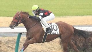 【新馬/中山4R】コーリングローリーが圧巻の逃げ切り