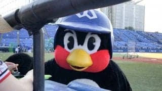 ヤクルト、雨天中止もつば九郎“格言”プレゼント　「しぜんのまえにひとはむりょく」