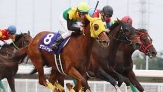 【ダイオライト記念】枠順と見どころ ウェスタールンドなど14頭