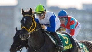 【名古屋大賞典】ロードゴラッソが重賞2勝目