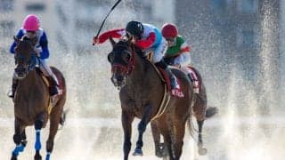 美人ジョッキーミシェルが名古屋で豪快な大外一気を決める