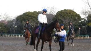 【阪神スプリングJ】シングンマイケル 打倒オジュウで真のチャンピオン目指す