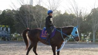 【阪神スプリングJ】オジュウチョウサン 石神「負けられない馬」