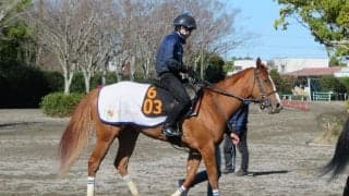 【ファルコンS】シャインガーネット 栗田師「中京コースは合っている」