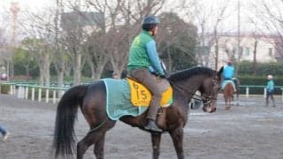 【中山牝馬S】コントラチェック 中山は大得意