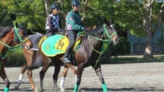 【中山牝馬S】ウラヌスチャーム 齋藤誠師「状態は数段良い」